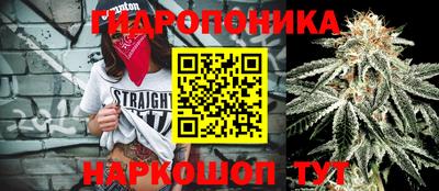 гидропоника Балашиха